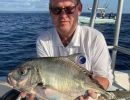 almindelig tradfisk