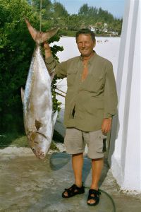 amberjack