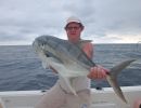 atlantisk crevalle