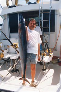 barracuda