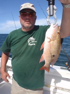 faaresnapper