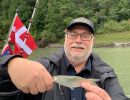 fallfish