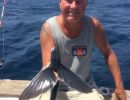 flyvefisk