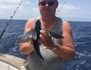 flyvefisk