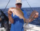 gulhalet snapper