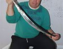 hornfisk