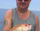 pletsnapper