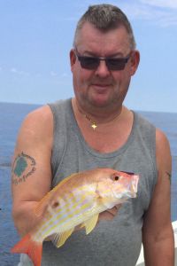 pletsnapper
