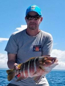 rock snapper