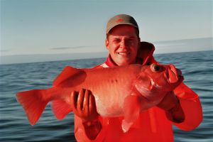 roedfisk