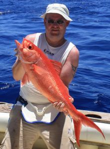 ruby snapper