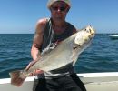 scalyfin weakfish