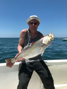 scalyfin weakfish