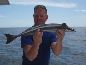 sugefisk140514